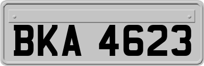 BKA4623