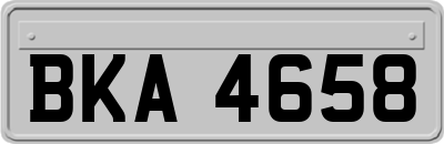 BKA4658