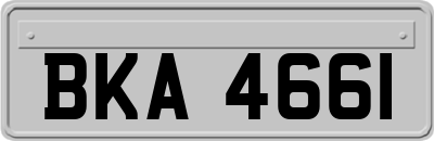 BKA4661
