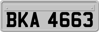 BKA4663