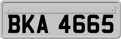BKA4665