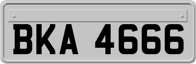 BKA4666