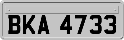 BKA4733