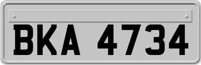 BKA4734