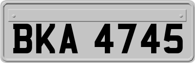 BKA4745