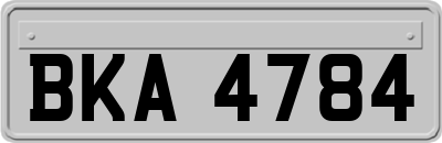 BKA4784