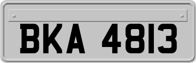 BKA4813