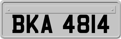 BKA4814