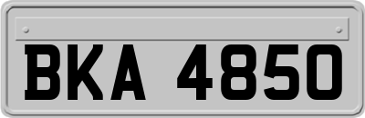 BKA4850