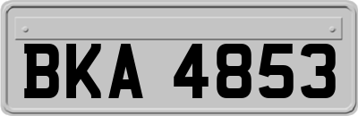BKA4853