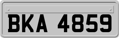 BKA4859