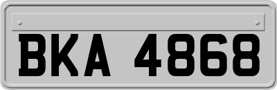 BKA4868