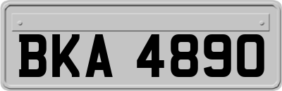 BKA4890