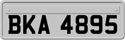 BKA4895