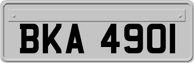 BKA4901