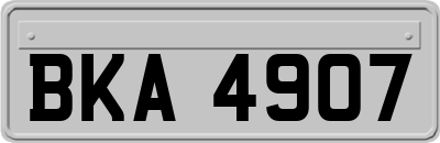BKA4907