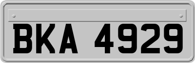BKA4929