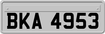 BKA4953