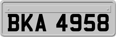 BKA4958