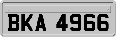 BKA4966