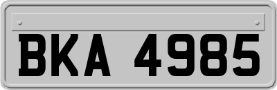 BKA4985