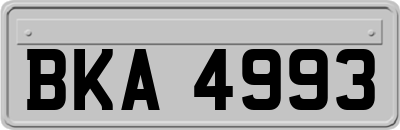 BKA4993