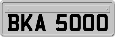 BKA5000