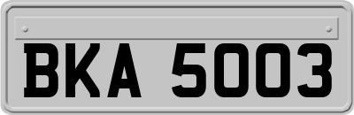 BKA5003