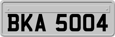 BKA5004