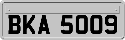 BKA5009