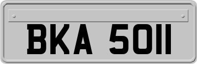 BKA5011