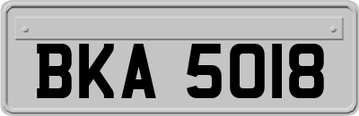 BKA5018