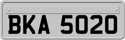BKA5020