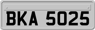BKA5025