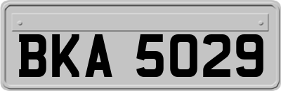BKA5029