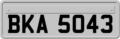 BKA5043