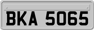 BKA5065
