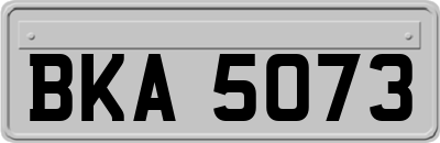 BKA5073