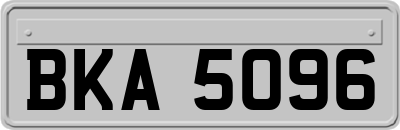 BKA5096