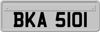 BKA5101