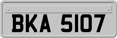 BKA5107