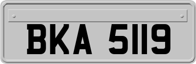 BKA5119