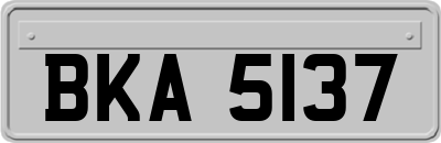 BKA5137