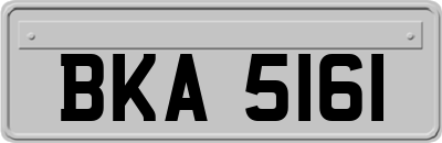 BKA5161