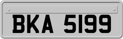 BKA5199