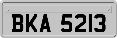 BKA5213
