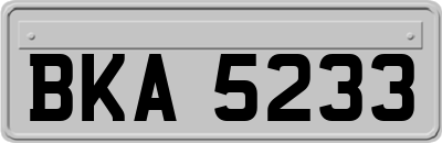 BKA5233