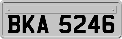 BKA5246