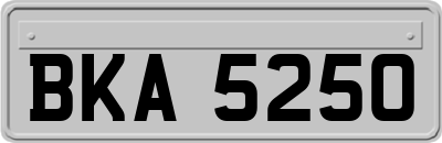 BKA5250