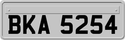 BKA5254